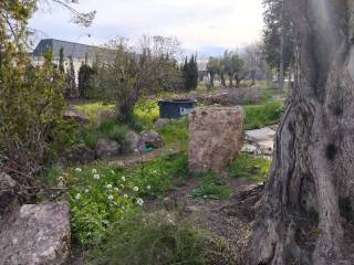 Jardín