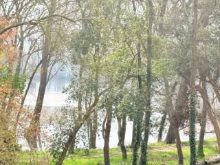 Vistas