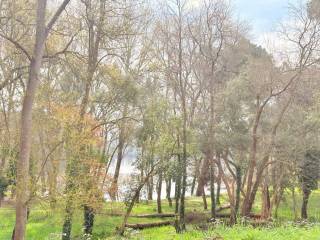 Jardín