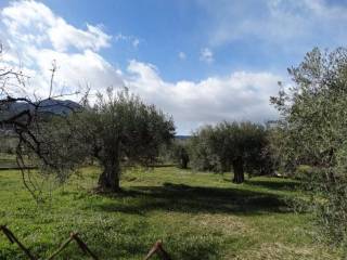 Vistas