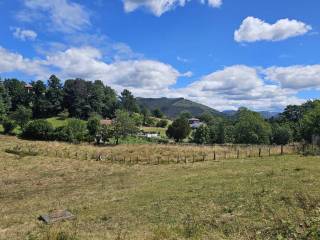 Vistas