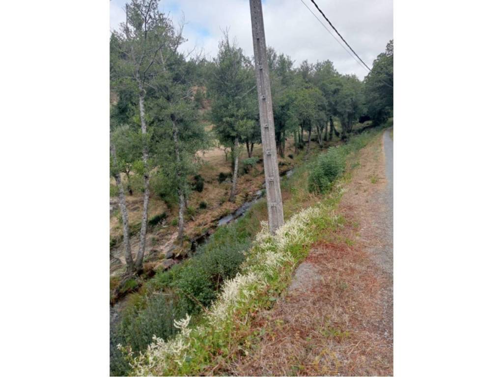 Alrededores