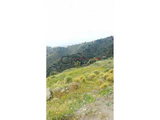 Vistas