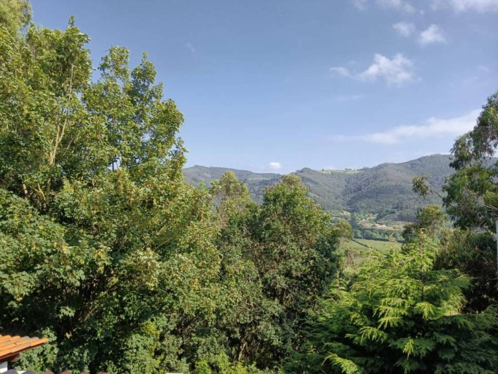 Vistas