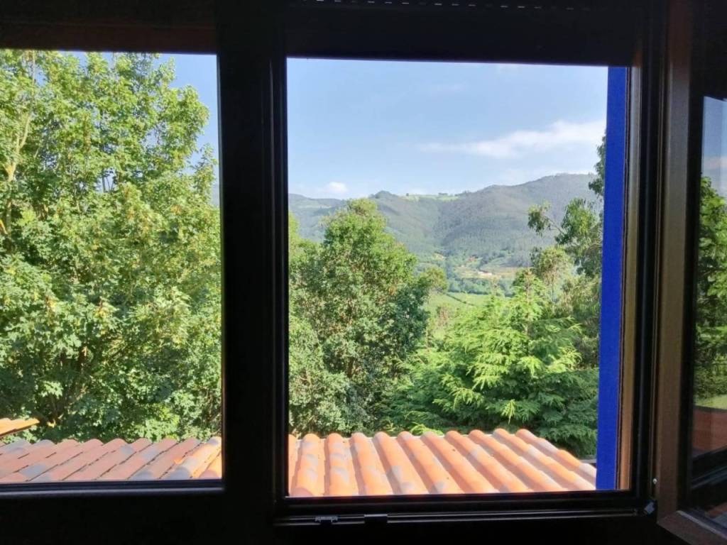 Vistas
