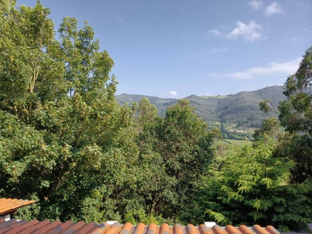 Vistas