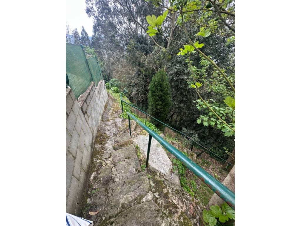 Jardín