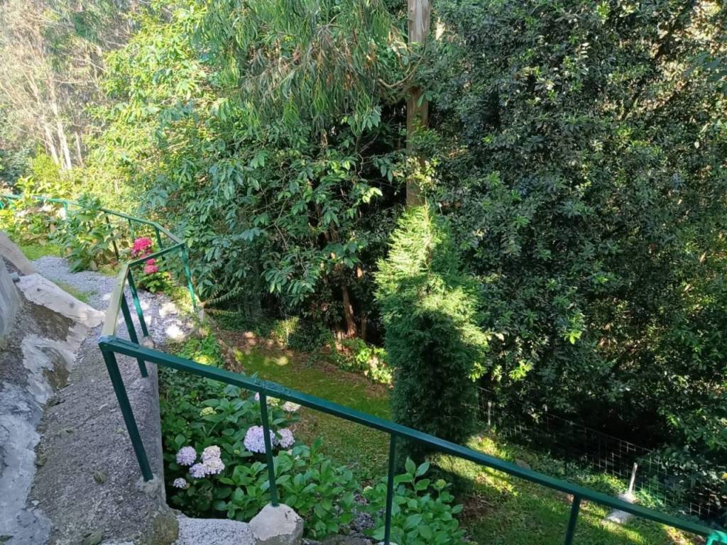 Jardín