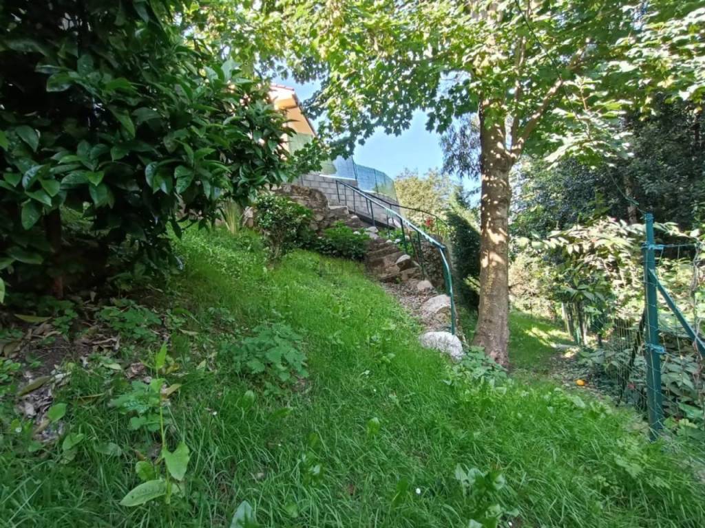 Jardín