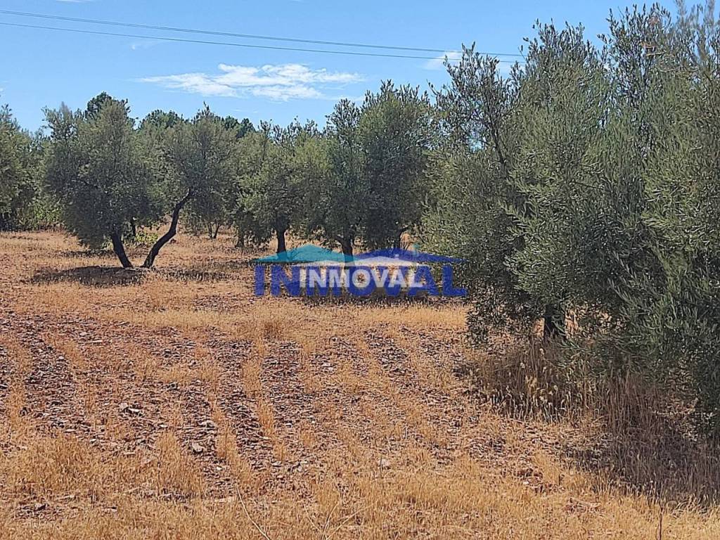 No Informado