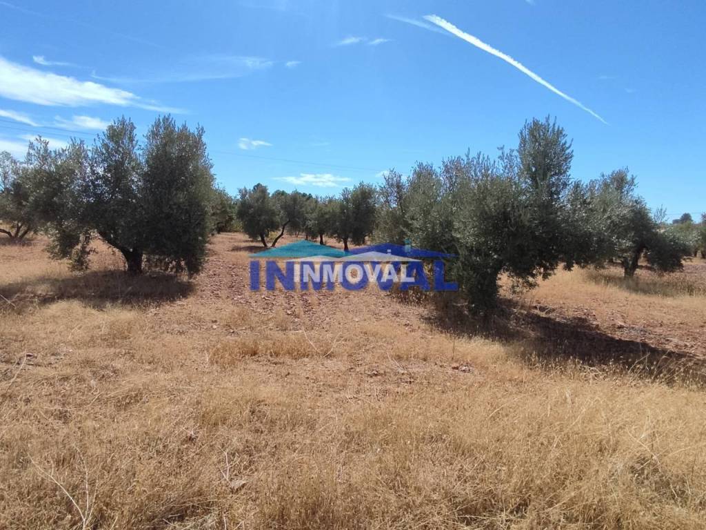 No Informado