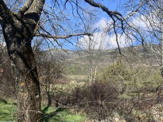 Estancia