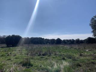 Estancia
