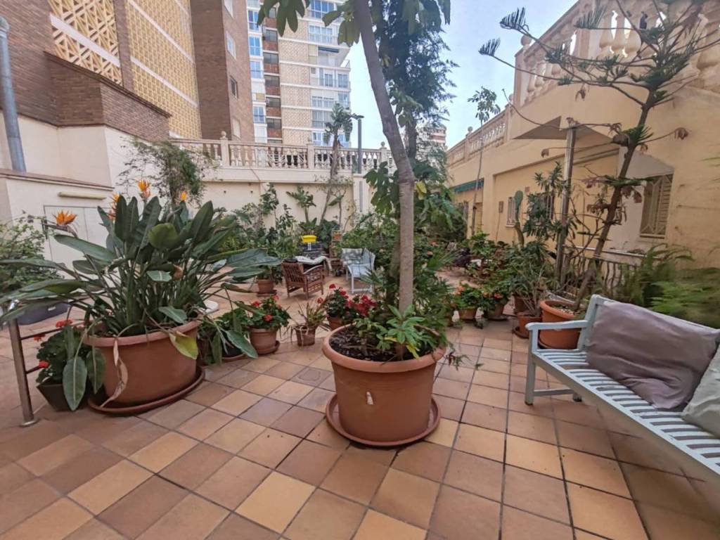 Terraza