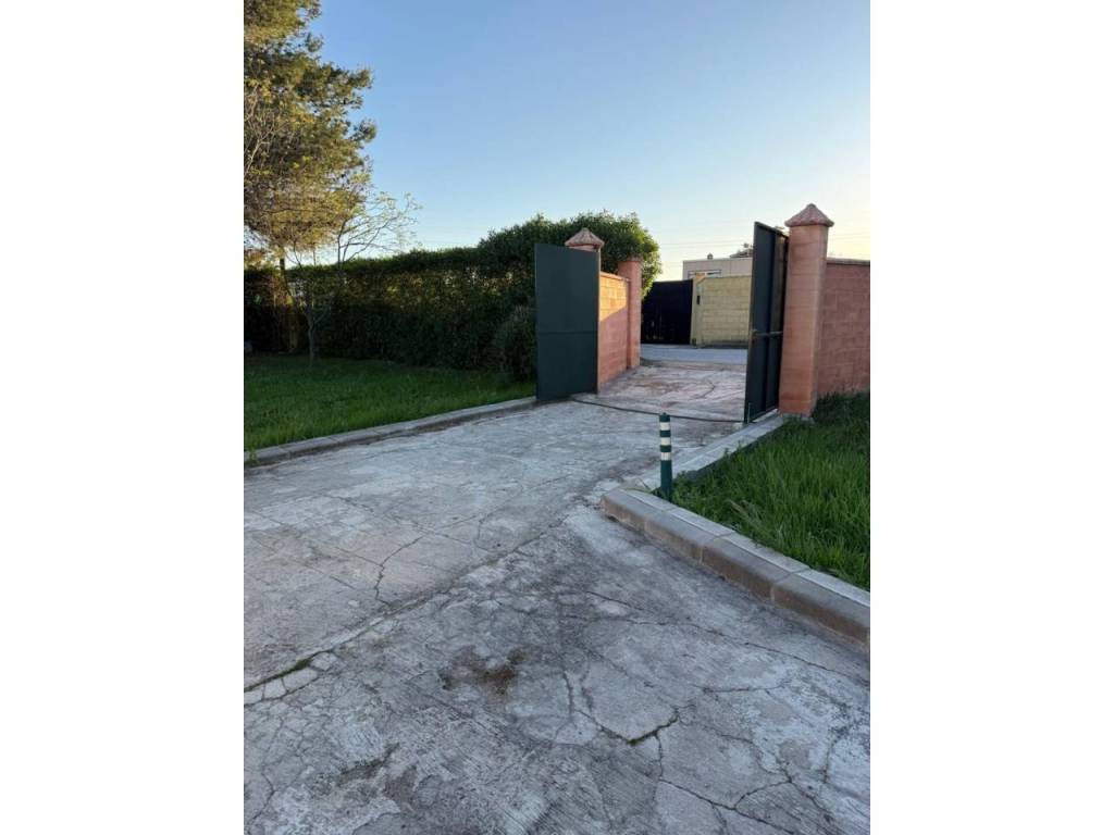 Entrada/Salida