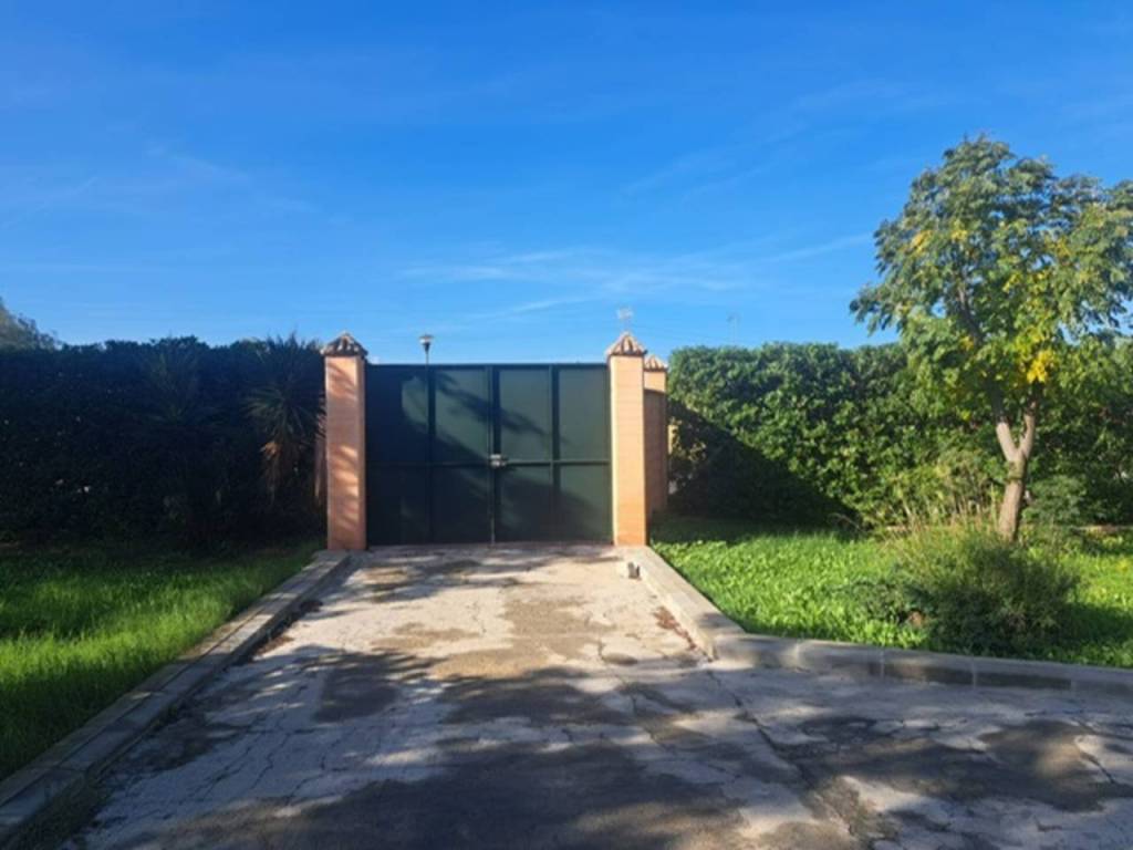 Entrada/Salida