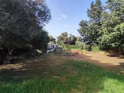 Jardín