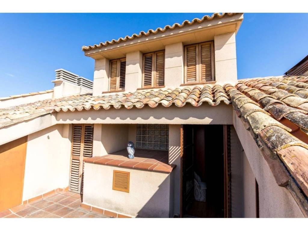 Terraza