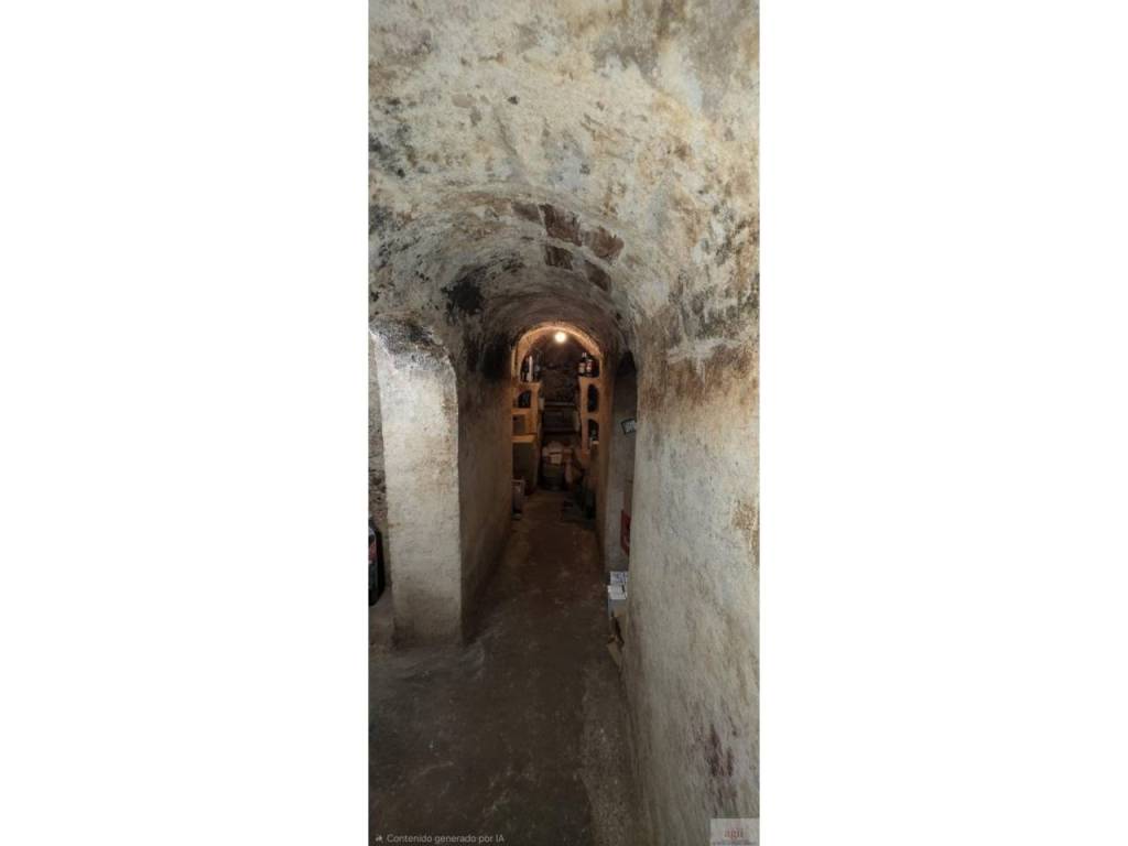 Bodega