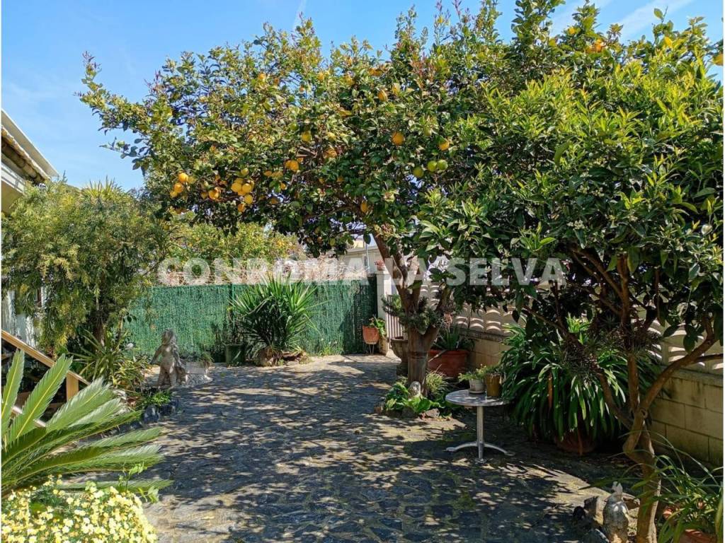 Jardín