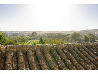 Vistas