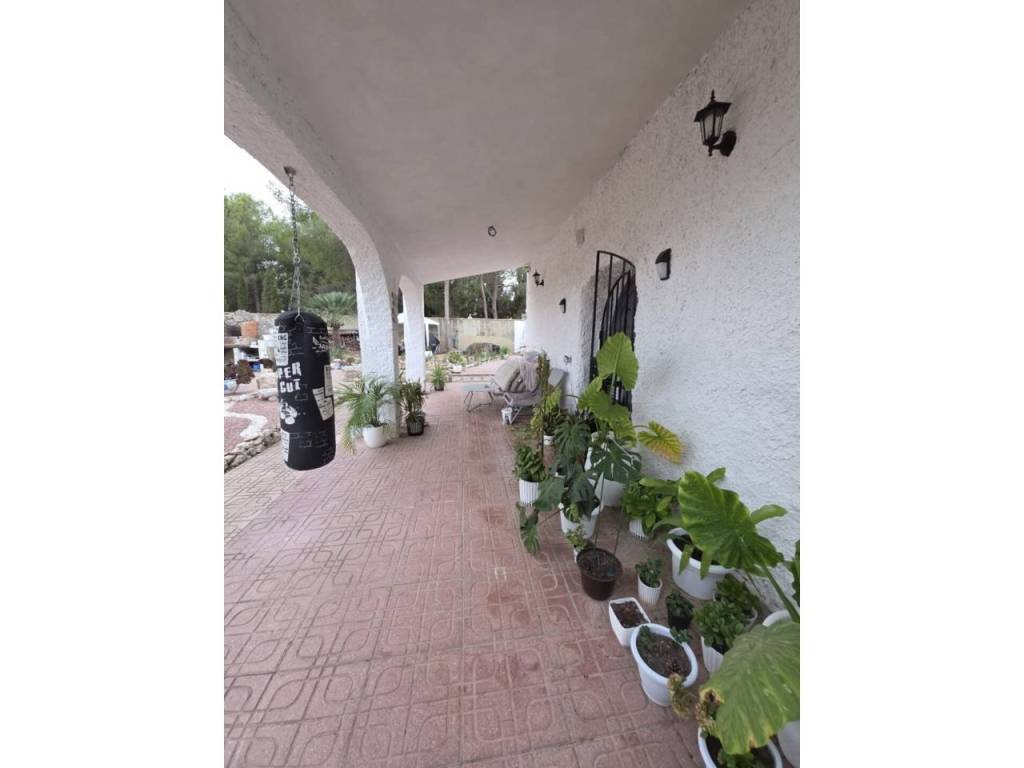 Terraza