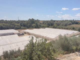 Vistas