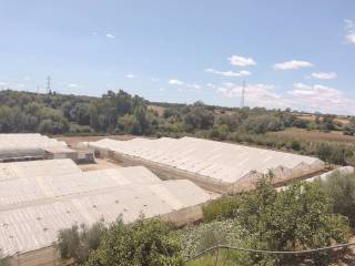 Vistas