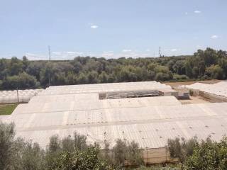Vistas