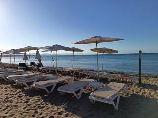 Hamacas del xiringuito