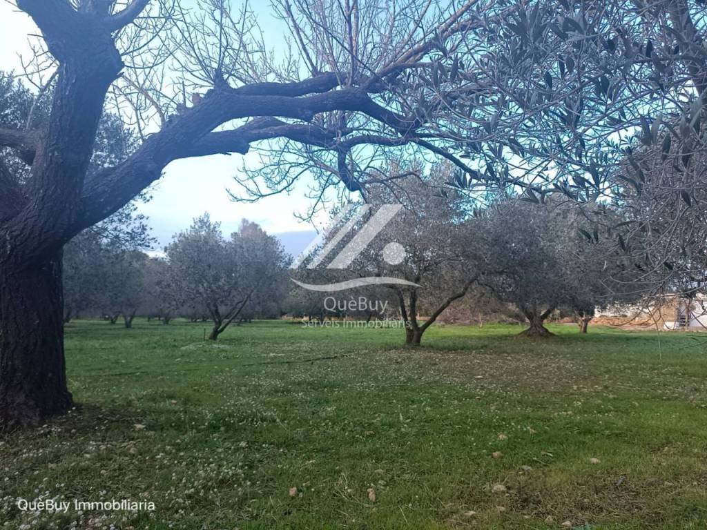 Jardín