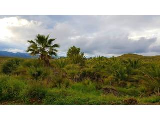 Vistas