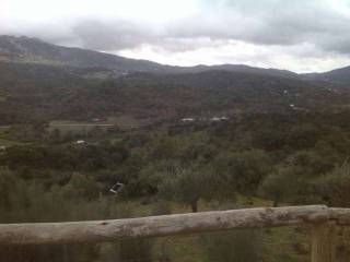 Vistas