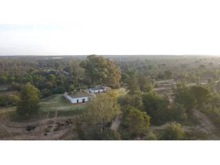 Vistas