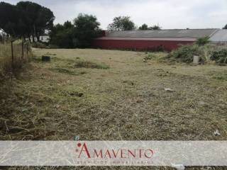 Jardín