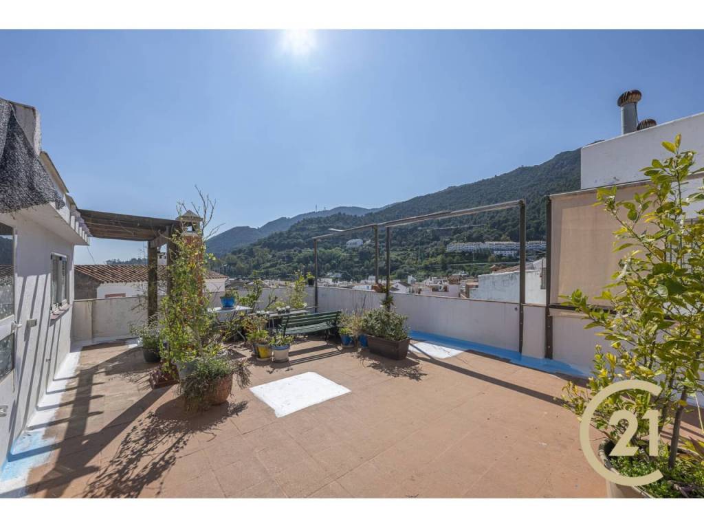 Terraza