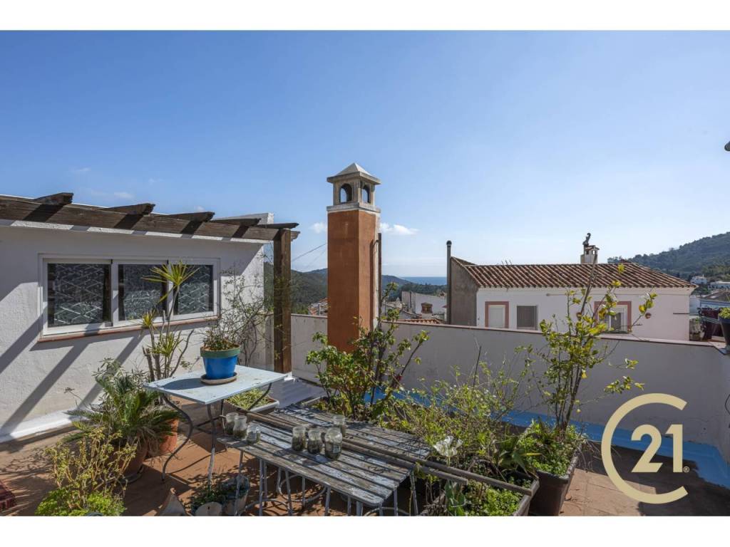Terraza