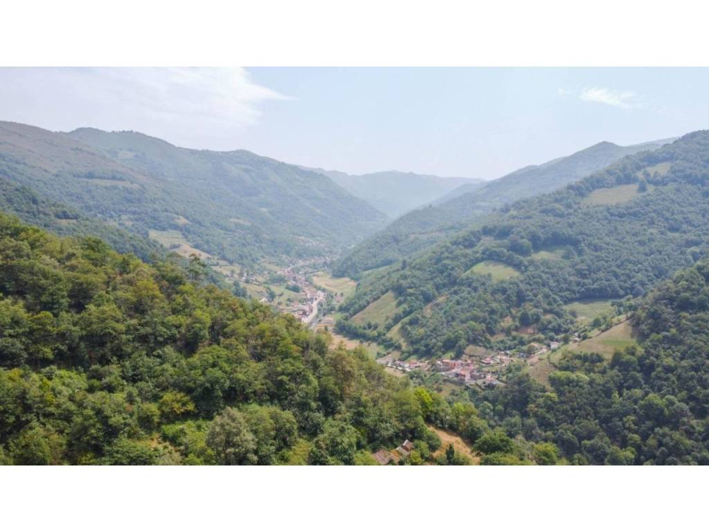 Vistas