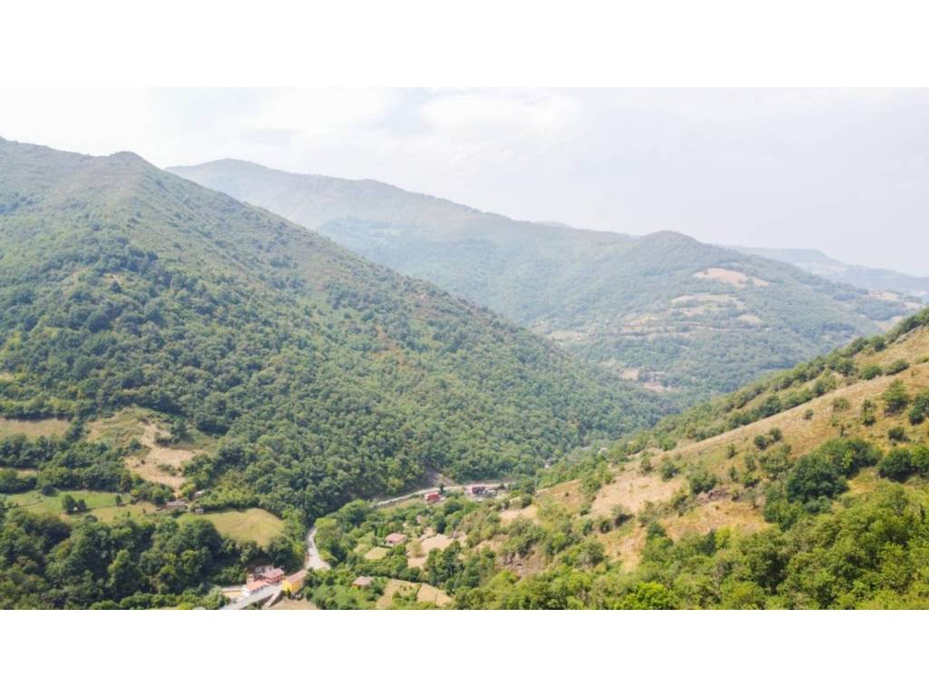 Vistas