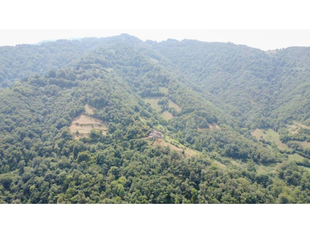 Vistas