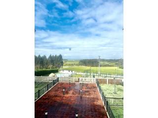 Vistas