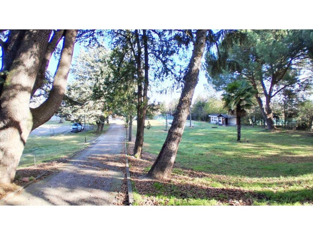 Jardín