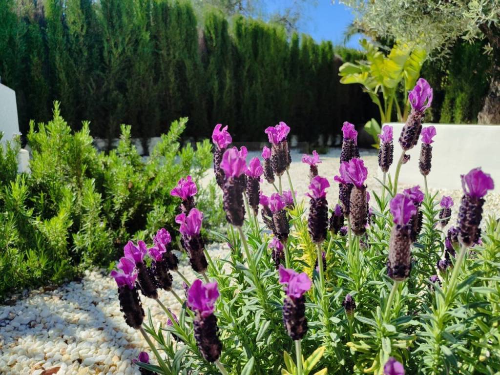 Jardín