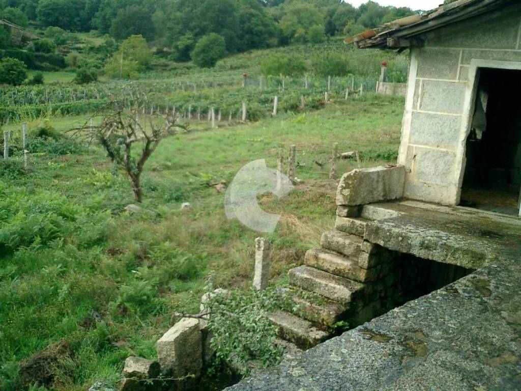 Vistas