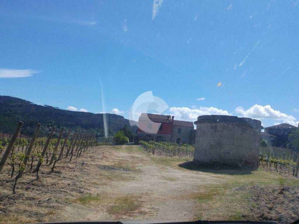 Vistas