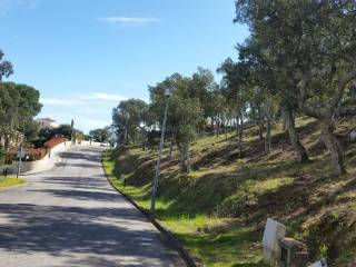 Vistas