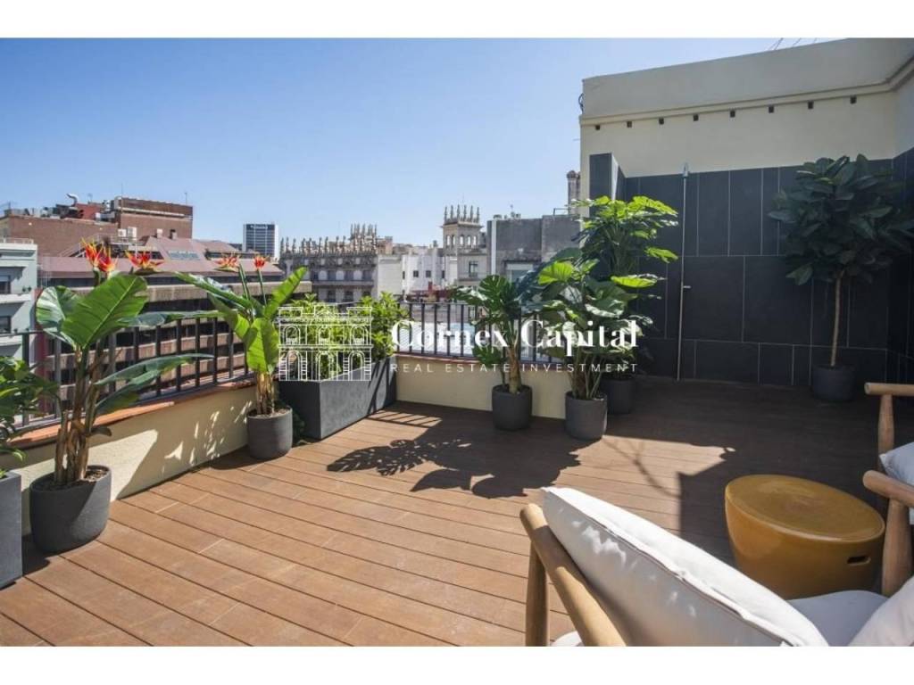 Terraza