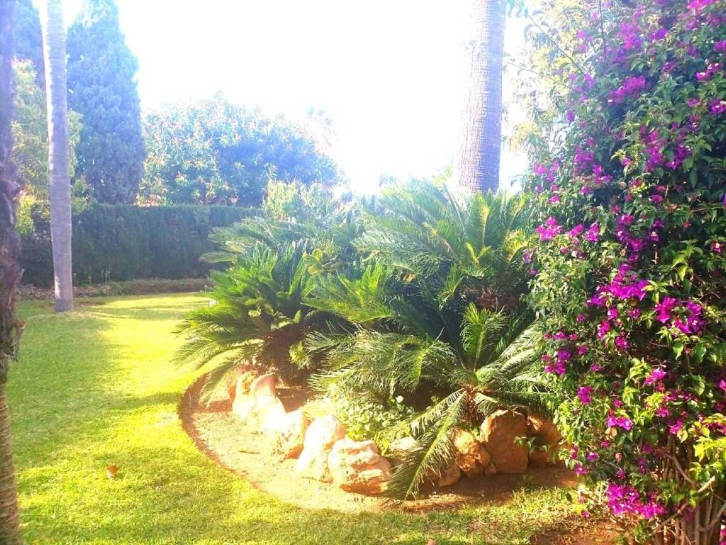 Jardín