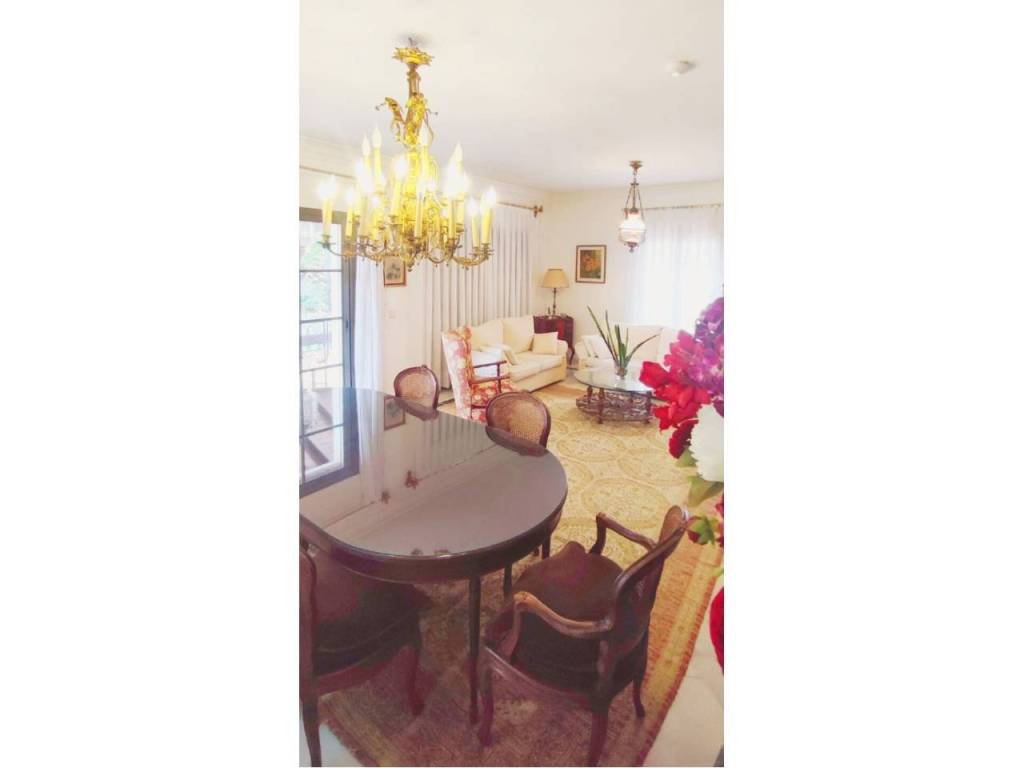 Comedor