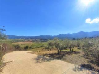 Vistas